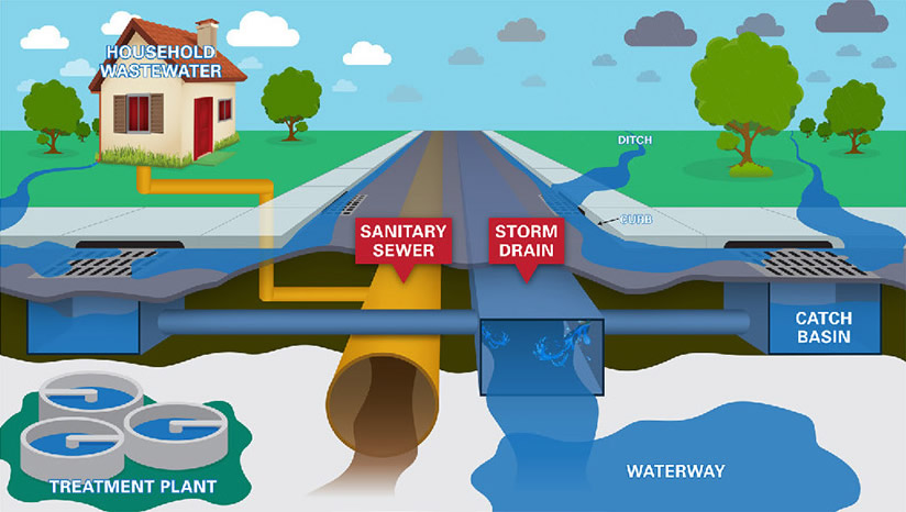 Storm Sewer vs. Sanitary Sewer diagram