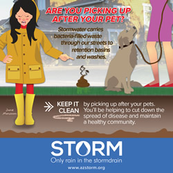 June Monsoon: Pet Waste social media graphic